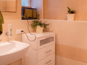 Prodej rodinného domu, Domašov u Šternberka, 550 m2