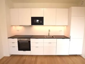Pronájem bytu 1+kk, Praha - Lysolaje, Lysolajské údolí, 30 m2