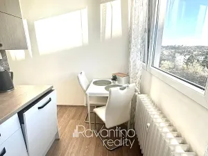 Pronájem bytu 2+1, Brno, Heleny Malířové, 55 m2