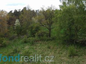 Prodej pole, Křenov, 16180 m2