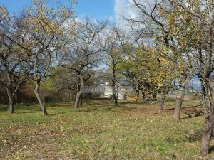 Prodej zahrady, Židlochovice, 2384 m2