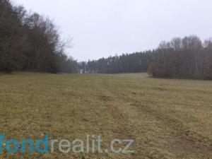 Prodej pole, Zvěstov, 51947 m2