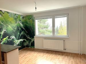 Pronájem bytu 2+kk, Liberec - Liberec VI-Rochlice, Seifertova, 42 m2