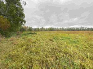 Prodej pozemku, Mydlovary, 15915 m2