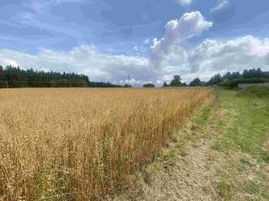 Prodej pozemku, Kamenná Horka, 6926 m2