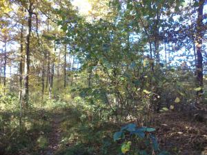 Prodej pozemku, Římov - Dolní Stropnice, 2102 m2