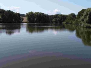 Prodej pozemku, Chocomyšl, 59407 m2