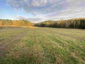 Prodej pole, Cvikov - Trávník, 16894 m2