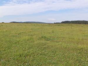 Prodej pozemku, Horní Štěpánov, 4031 m2