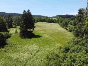 Prodej pozemku, Hartmanice, 9140 m2