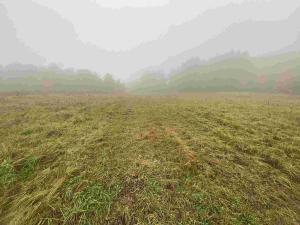 Prodej pole, Verneřice, 22839 m2