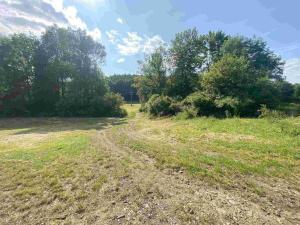 Prodej pozemku, Dobrkovice, 30944 m2