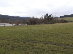 Prodej komerčního pozemku, Srby, 2298 m2