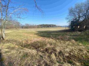 Prodej pozemku, Dolní Dvořiště - Všeměřice, 11107 m2