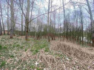 Prodej pole, Žinkovy, 15275 m2