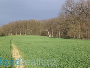 Prodej pozemku, Kostelany - Lhotka, 13279 m2