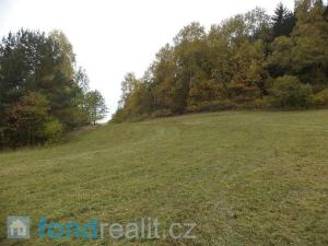 Prodej komerčního pozemku, Vidochov, 4068 m2