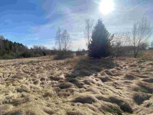 Prodej pole, Františkovy Lázně, 15408 m2