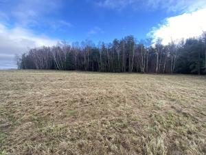 Prodej pozemku, Kaplice - Pořešín, 11526 m2