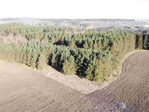 Prodej pole, Kočov - Klíčov, 3847 m2