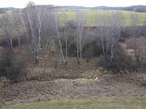 Prodej pozemku, Dolní Dvořiště - Trojany, 18915 m2