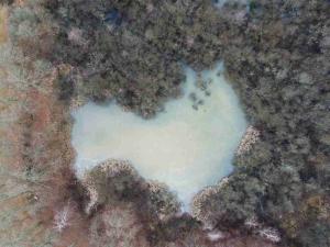 Prodej pozemku, Nové Hrady - Štiptoň, 35772 m2