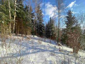 Prodej pozemku, Albrechtice v Jizerských horách, 4671 m2