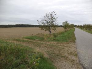 Prodej pozemku, Radošovice - Tupesy, 1227 m2