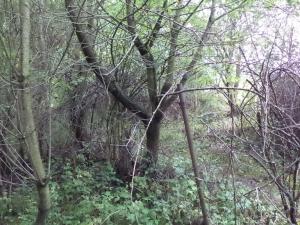 Prodej pozemku, Skuteč, 1714 m2