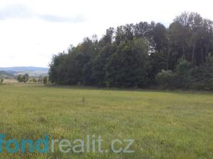 Prodej pole, Tachov, 55727 m2