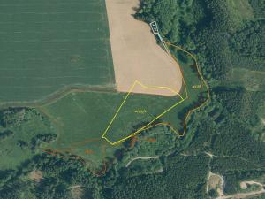 Prodej pole, Tachov, 55727 m2