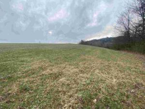 Prodej pole, Mírová pod Kozákovem, 22044 m2