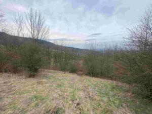 Prodej pole, Mírová pod Kozákovem, 22044 m2