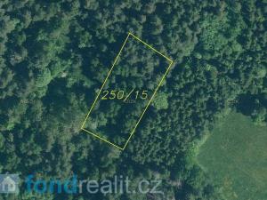 Prodej pozemku, Rejštejn, 5171 m2