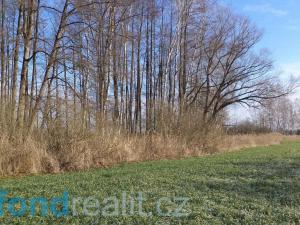Prodej pozemku, Čejetice - Sudoměř, 62047 m2