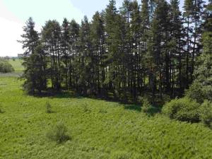 Prodej pozemku, Jílovice, 20535 m2