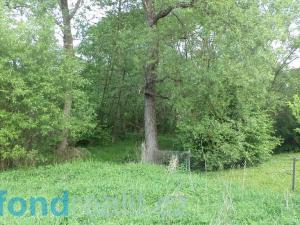 Prodej pozemku, Nové Hrady - Údolí, 643 m2