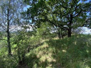 Prodej pole, Lhenice - Hrbov, 55481 m2