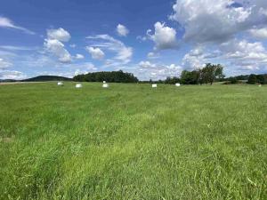 Prodej pole, Lhenice - Hrbov, 55481 m2