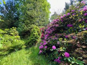 Prodej chaty, Běstvina, 70 m2