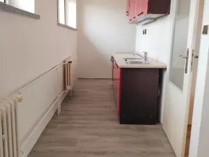Pronájem bytu 2+kk, Kozojedy, 46 m2