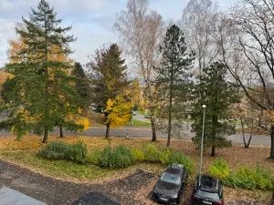 Pronájem bytu 1+kk, Liberec, Jáchymovská, 23 m2