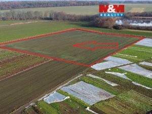 Prodej pole, Nové Dvory, 9979 m2