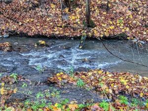 Prodej rodinného domu, Adamov, Josefovská, 96 m2