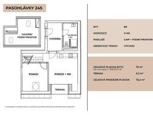 Prodej vícegeneračního domu, Pasohlávky, 320 m2