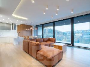 Pronájem bytu 4+kk, Praha - Radlice, Radlická, 119 m2