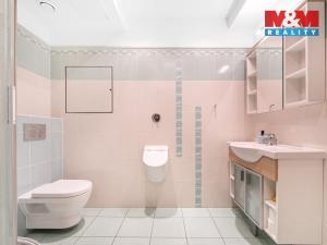 Pronájem bytu 4+kk, Plzeň - Severní Předměstí, Bolevecká, 151 m2