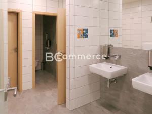 Pronájem kanceláře, Brno, Smetanova, 332 m2