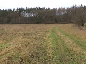 Dražba louky, Srby, 19946 m2