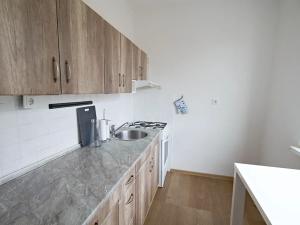 Prodej bytu 2+1, Nová Role, Svobodova, 57 m2
